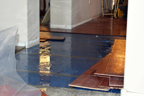 Professional Burst Pipe Cleanup technician working in Chatfield, TX